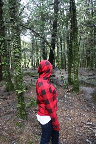 Red Hood? Forest?