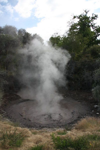Boiling Mud - Rotorua