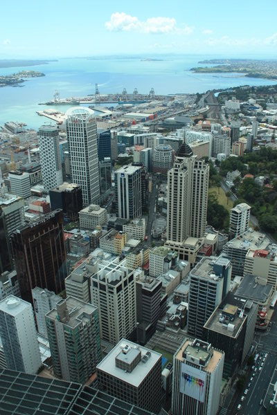 View from the Skytower