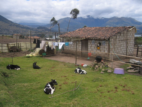 Landwirtschaft in Ecuador