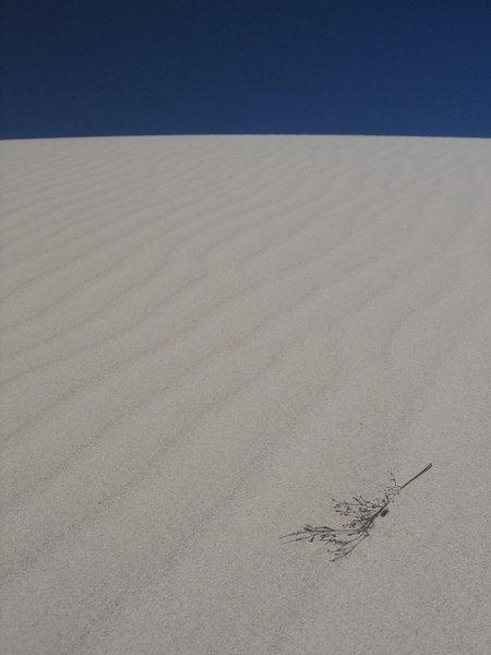 white sand dunes near Lancelin