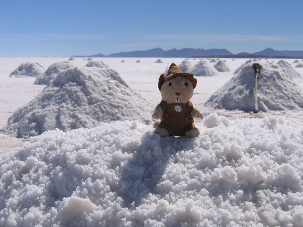 salt desert in Bolivia
