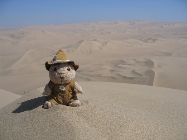Huacachinas sand dunes