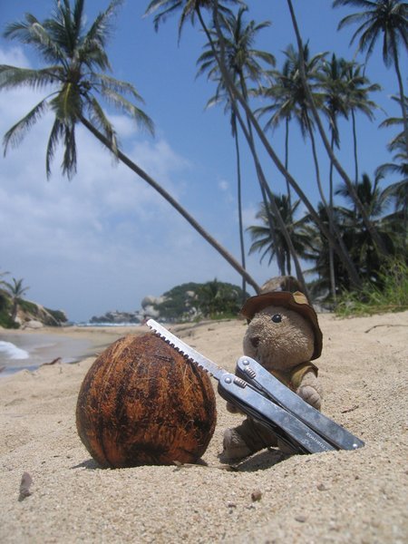 quite a hard job to open a coconut