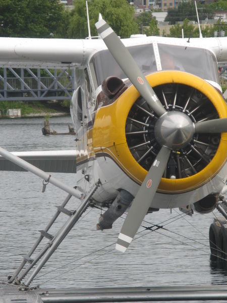 Seaplane, Lake Union