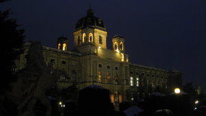 Vienna at Night