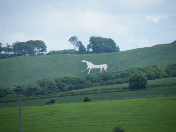 Churhill White Horse