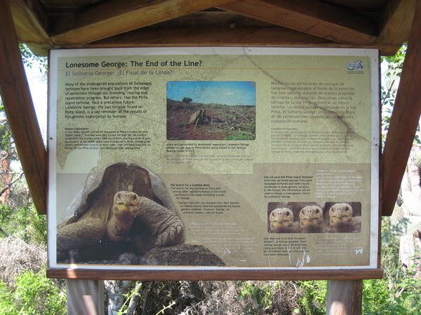 About Lonesome George