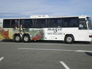The Magic Bus!