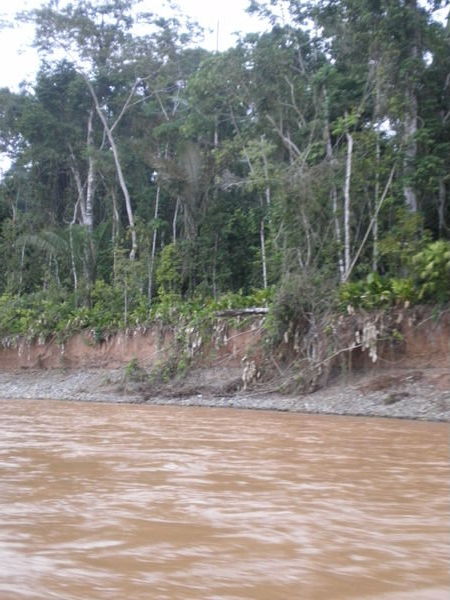 River Tuichi
