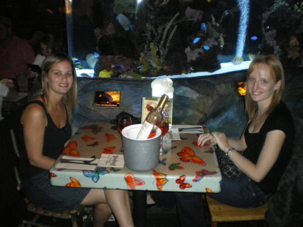In Rainforest Cafe