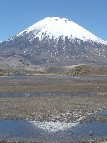 Vulkanen Parinacota 