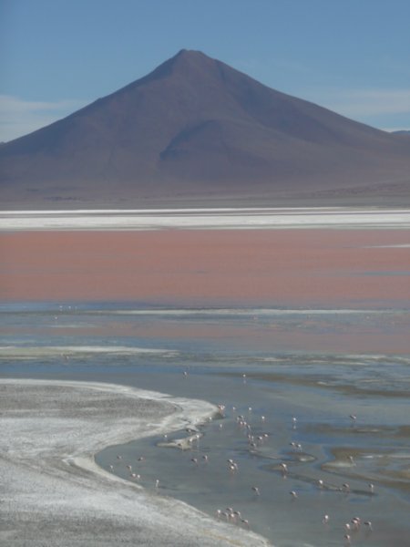 Laguna Colorada 2