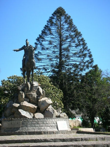 Monument and Araucana tree in Valpo