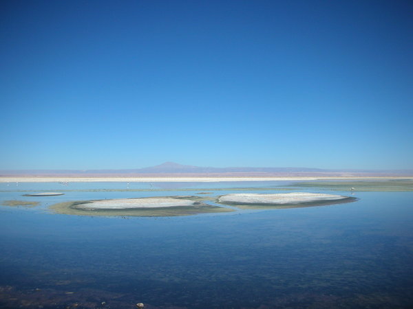 Atacama Salt Flats