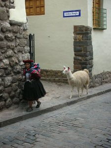 Lady with llama, about to bash me up