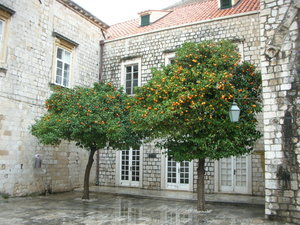 Dubrovnik IV