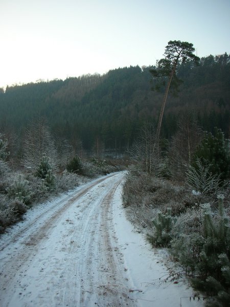 Pfaelzer Wald, freezing