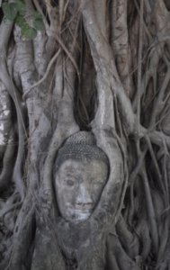Wat Phra Mahathat, Ayutthaya VI