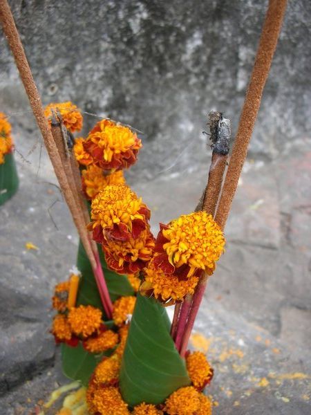 Flowers for Buddha
