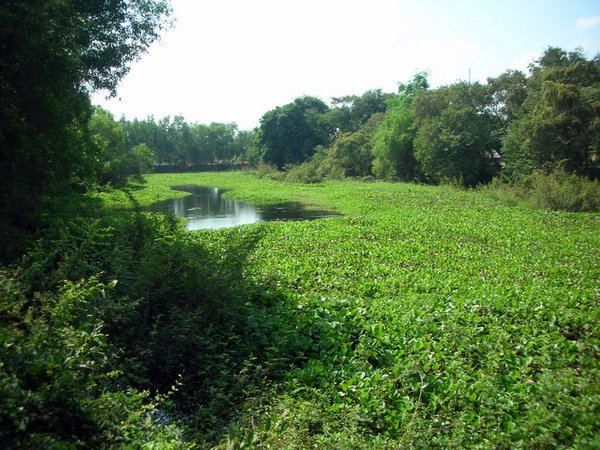 Choeung Ek V