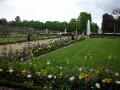Park Sanssouci X