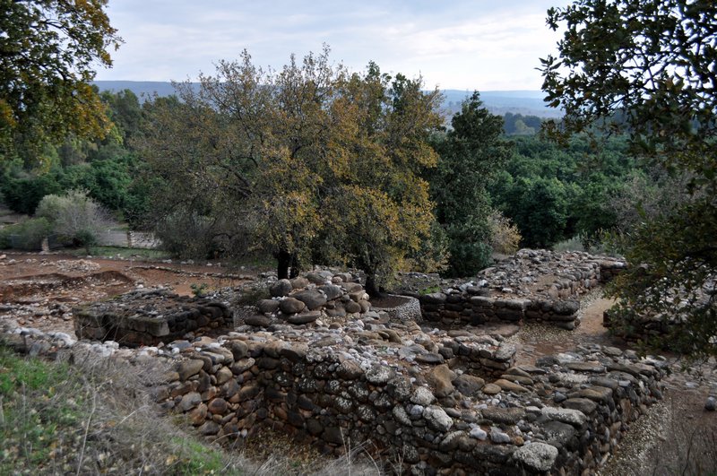 Ruins of biblical Dan