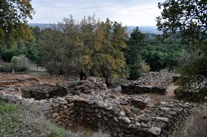 Ruins of biblical Dan