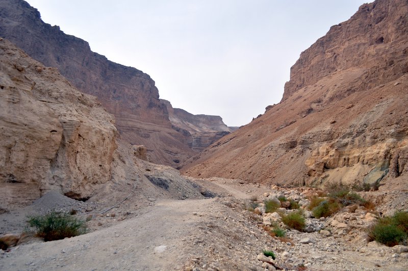Masada plateau