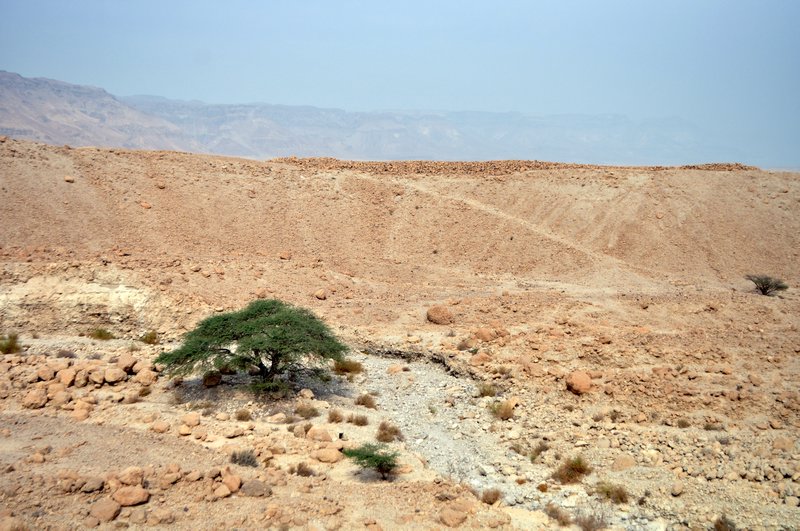 Judean desert