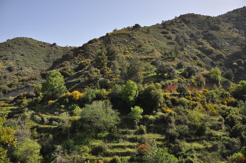 Landscape near Kalopanayiotis
