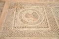 House of Eustolios mosaic in Ancient Kourion
