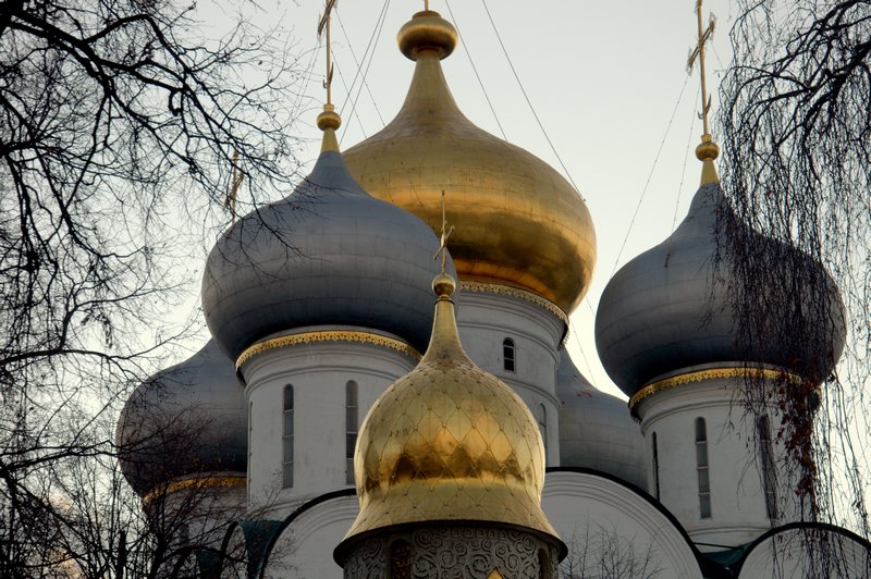 Smolensk Cathedral domes