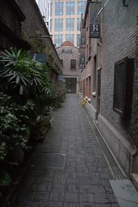 Historic alley