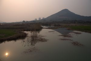 Marshland near Jiangyin