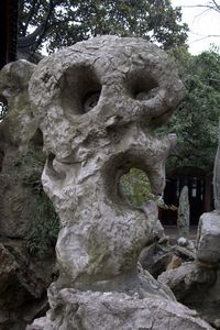 Oddly shaped taihu rock
