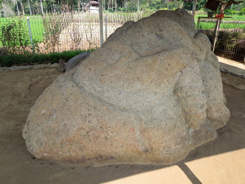 Elephant/Buffalo stone