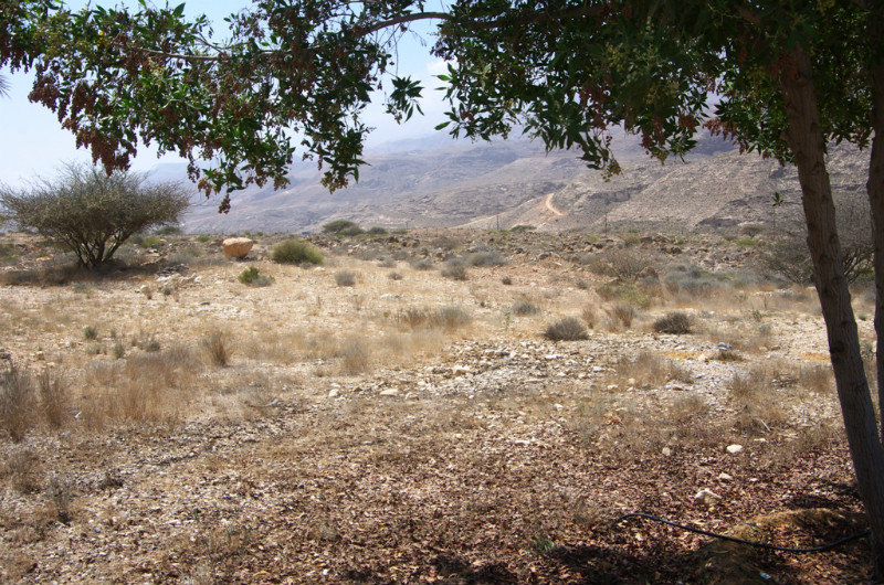 Landscape around the sinkhole