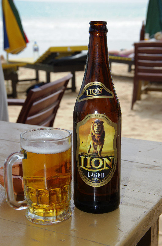 A cold Lion lager 