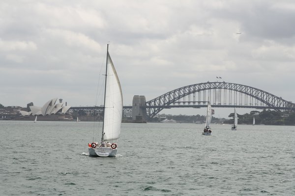 Sail boats in the harbour