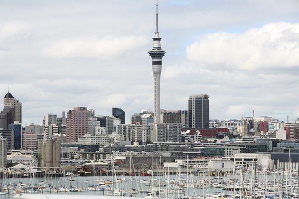 Auckland view