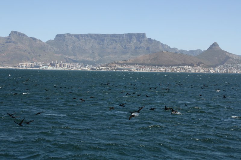 View of Cape Town from Robben Island ferry