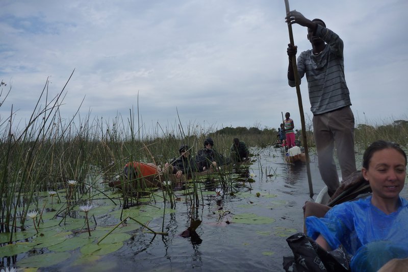 The wet way out of the Okavango Delta