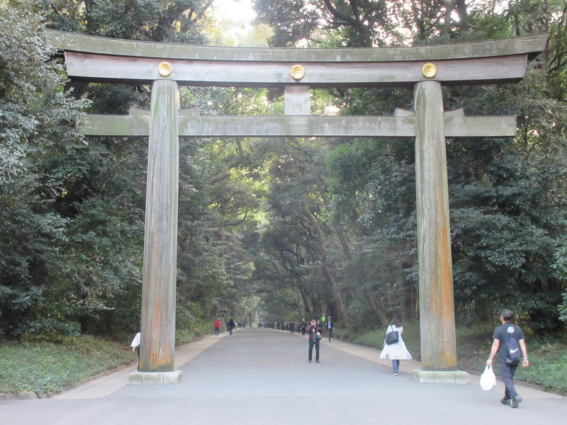 Torii Gate at Entrance to Meiji-jingu