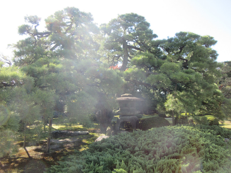 Ninomaru Garden of Nijō Castle