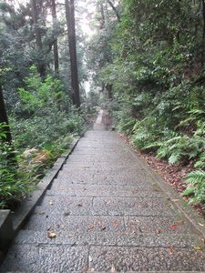 Stairs towards Nanzen-ji Oku-no-in