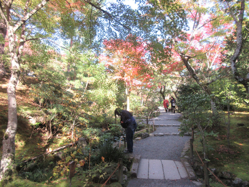 Tenry-ji Temple Garden