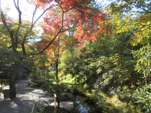 Tenry-ji Temple Garden