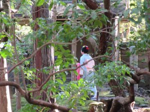 Geiko Sighting at Saihō-ji