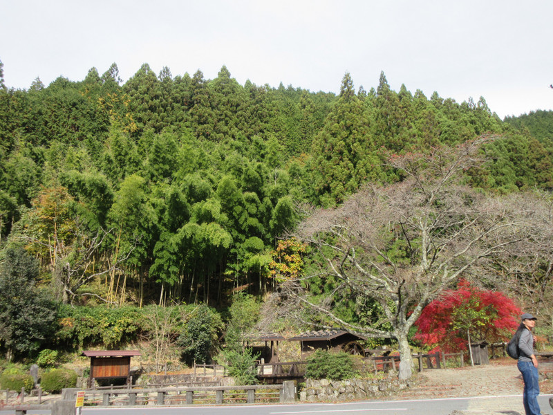 View of Mountains from Magome